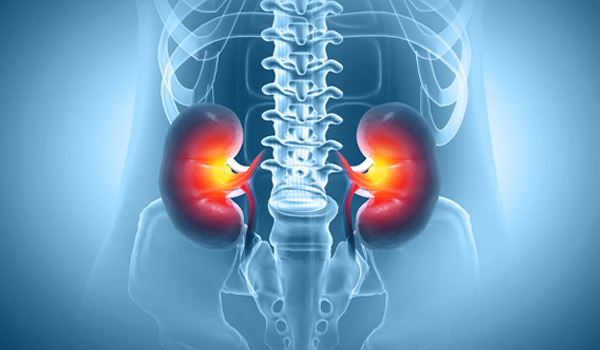 Breaking the Cycle: Addressing Hyperkalemia in CKD and Heart Failure to Optimize RAASi Therapy